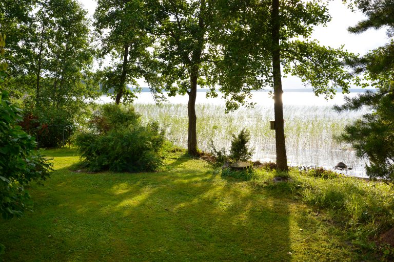 Aurinkoinen näkymä järven rannasta, valo siivilöityy puiden välistä nurmikolle.