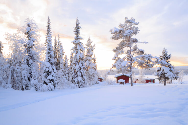 Talvinen maisema, punainen talo lumisten puiden keskellä